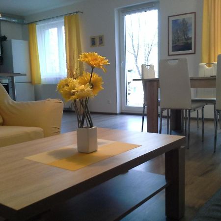Rodinny Apartman Lucie V Blizkosti Wellness Hotelu Ve Frymburku Екстер'єр фото