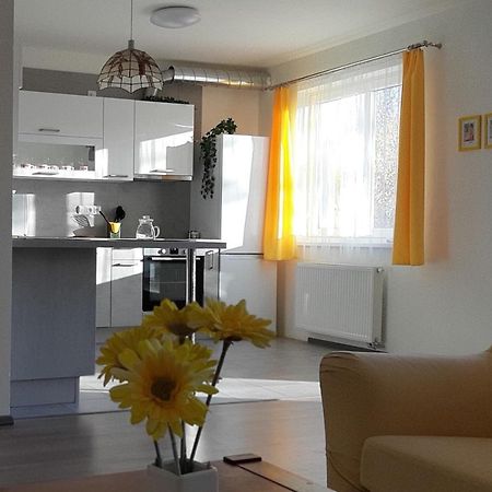 Rodinny Apartman Lucie V Blizkosti Wellness Hotelu Ve Frymburku Екстер'єр фото