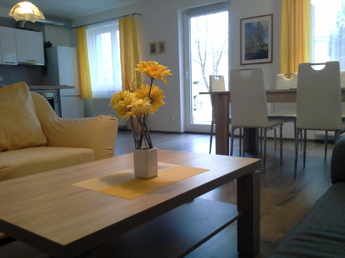 Rodinny Apartman Lucie V Blizkosti Wellness Hotelu Ve Frymburku Екстер'єр фото