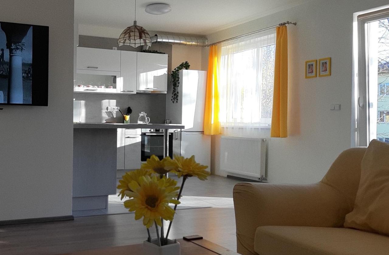 Rodinny Apartman Lucie V Blizkosti Wellness Hotelu Ve Frymburku Екстер'єр фото