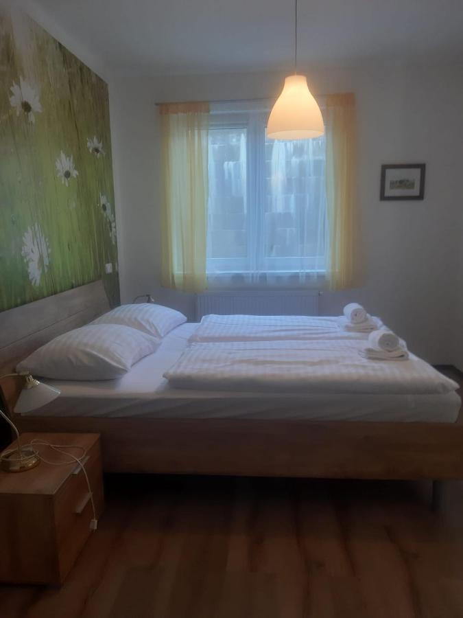 Rodinny Apartman Lucie V Blizkosti Wellness Hotelu Ve Frymburku Екстер'єр фото